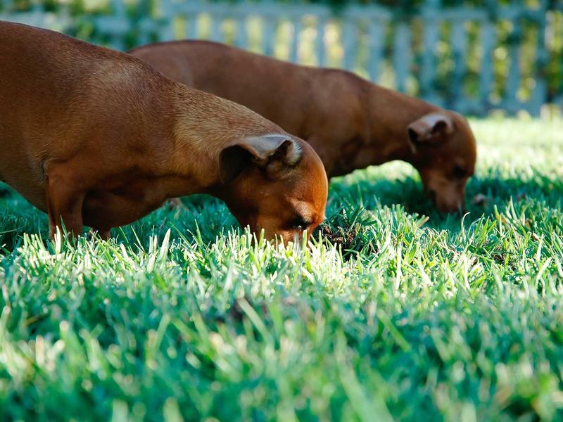 sudoku pattern learning screenshot 4